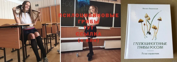мет Заводоуковск