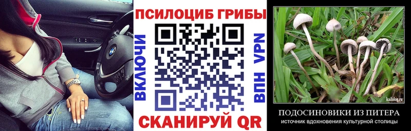 ОМГ ОМГ ONION  купить закладку  Богородицк  даркнет официальный сайт  Галлюциногенные грибы MAGIC MUSHROOMS 