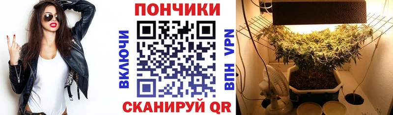 Каннабис Bruce Banner  blacksprut   Богородицк 